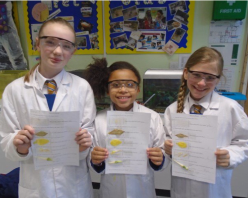 Lady Barn House School Science Experiment