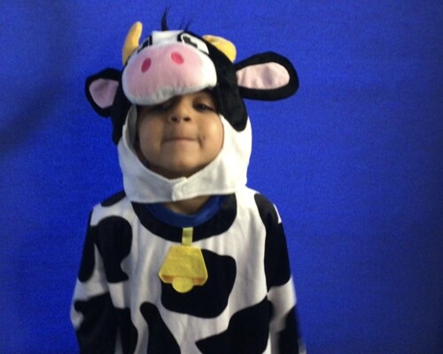 6C89830D 0913 4D25 B8B1 04A333B38351 1 105 c